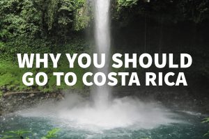 Among other things, seeing a beautiful waterfall is why you should go to Costa Rica!