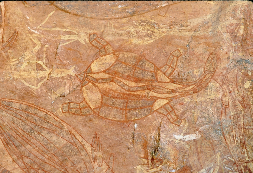 This turtle is one of the many Aboriginal art sites in Kakadu. Photo Credit: By Toursim NT - Imagegallery Tourism NT, Copyrighted free use, https://commons.wikimedia.org/w/index.php?curid=1669207