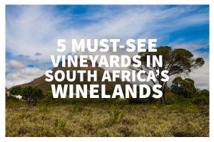 South Africa's Winelands region is a must for any real wine lover