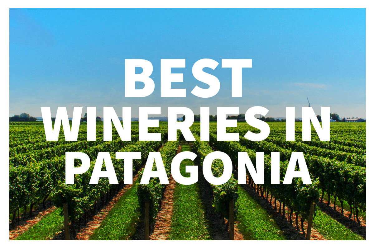 check out the best Patagonia wineries!