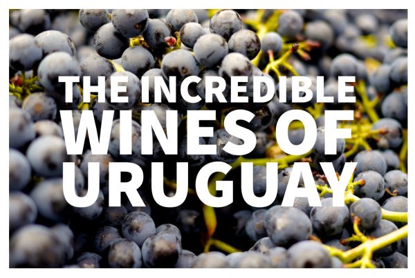 Uruguay wine is some of the finest in the world!