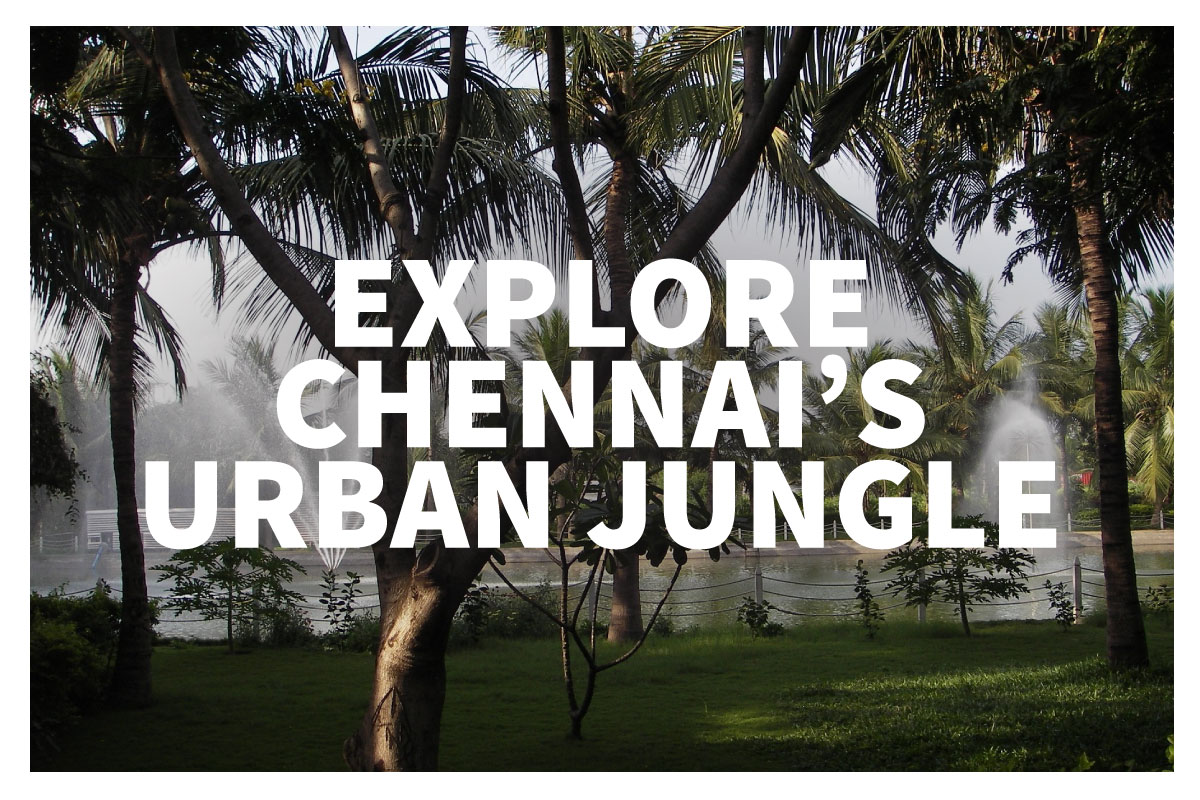 Chennai sightseeing is great inside Guindy National Park!