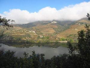 The Douro Valley of Portugal