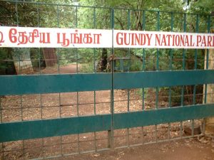 Entrance to Guindy National Park - Chennai, India