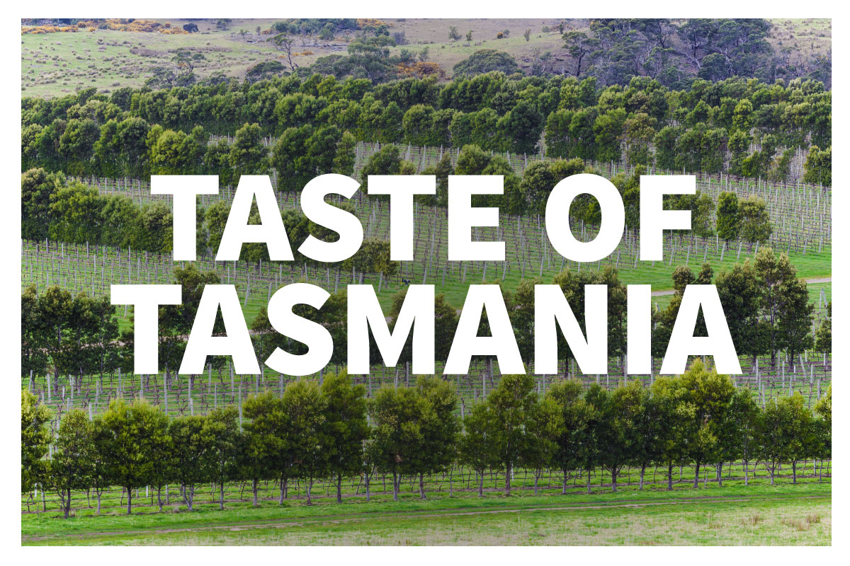 Taste of Tasmania - 4 must-try Tasmanian Wineries