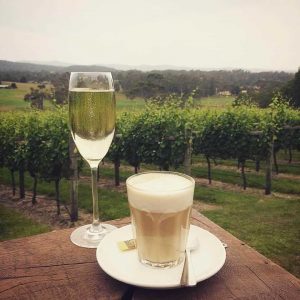 Riesling with view of Moores Hill Estate vineyards