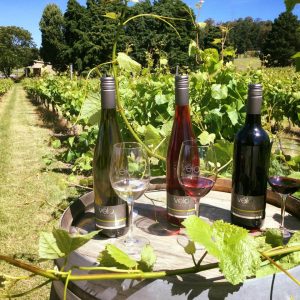 Selection of wines from Tasmanian winery, Velo Wines.