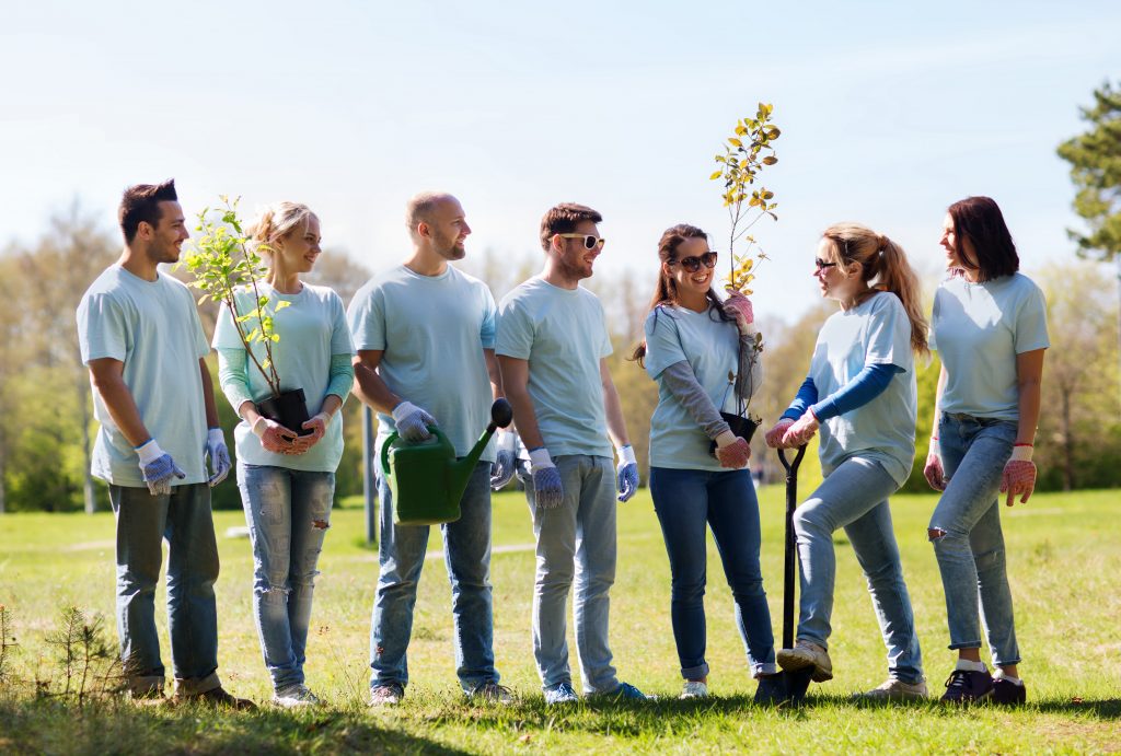 Volunteers work together to plant trees