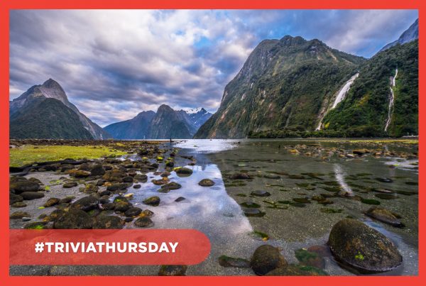 image of Milford Sound, New Zealand