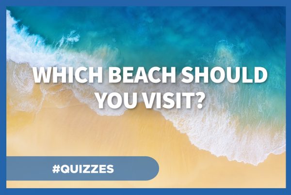 Which beach should you visit?