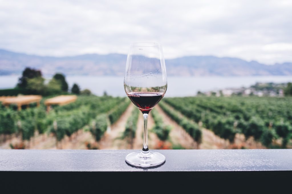 A clear glass of red wine sitting on a table overlooking a green vineyard and bright blue sky. This image is featured in the Jaya Travel & Tours blog, "Stunning Swedish Wine," which describes the different Scandinavian wines, including ice wine from vineyards in Sweden.