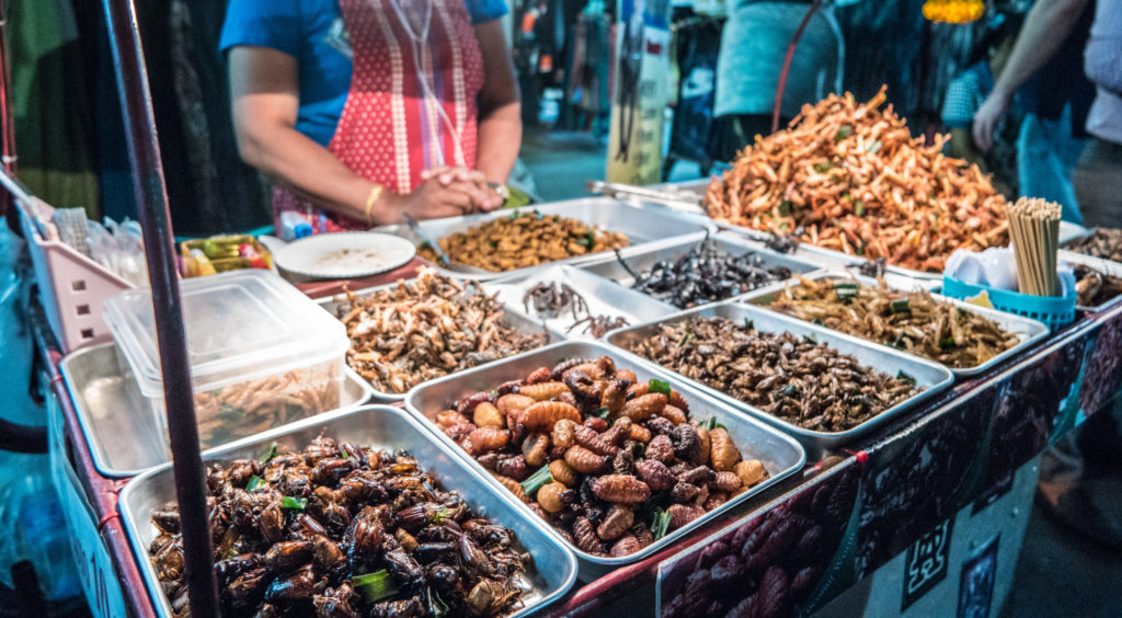Travel to tour Deep Fried bugs and worms on the streets of Khao San Road in Bangkok, Thailand.