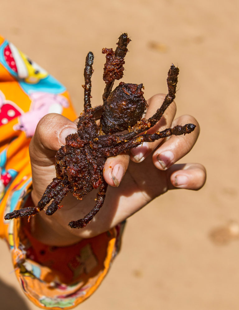 Discover Breaded and deep fried tarantula insects for sale at Skuon, Cambodia known locally as 'Spiderville' with bugs on the menu tour.