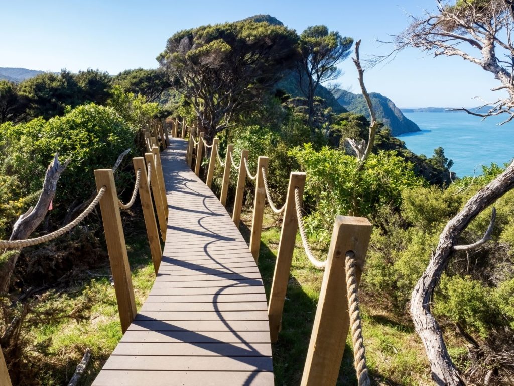 The Waitakere Ranges are the film locations and movie locations from the iconic film Hunt for the Wilderpeople in Jaya Travel On Location travel blog.