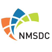 Travel Partners NMSDC National Minority Supplier Development Council Logo.