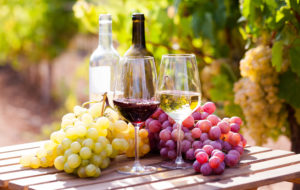 glasses of red and white wine and ripe grapes on table in vineyard in india where the wine scene is popular with Jaya