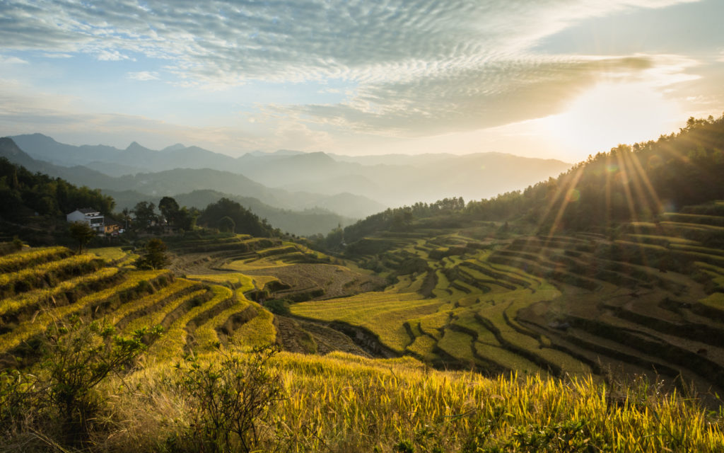 a sunrise over the terraced fields of banaue rice terraces in the philippines where avengers infinity war was filmed.