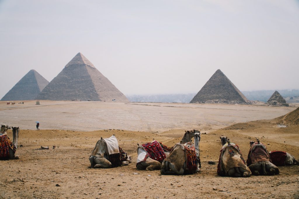 A camel tour with Jaya Travel & Tours as they sit in front of the pyramids of Giza in Caro, Egypt where movies use the setting as a film destination, including James Bond film locations.