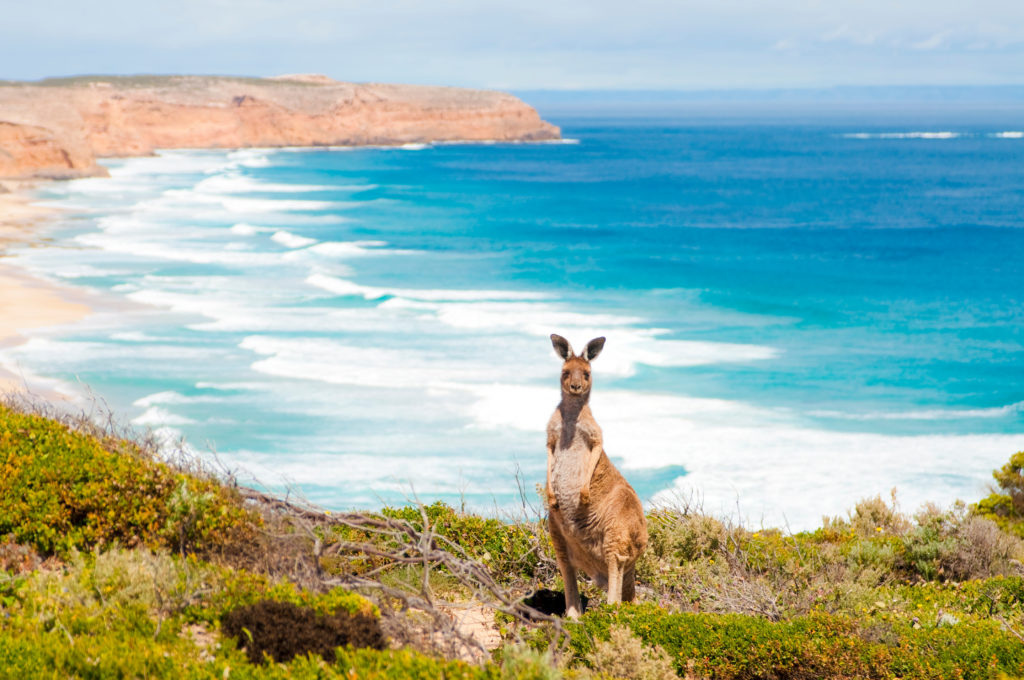 the beautiful blue water of marion bay in australia which was used as the film location of the movie lion.