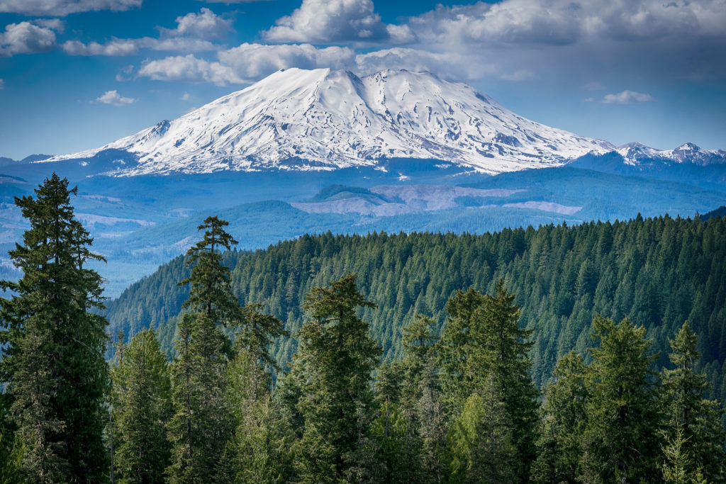 A scenic view of Mount St. Helens active volcano in Washington State USA, surrounded by a forest that was regrown after the last volcanic eruption with magma and lava.