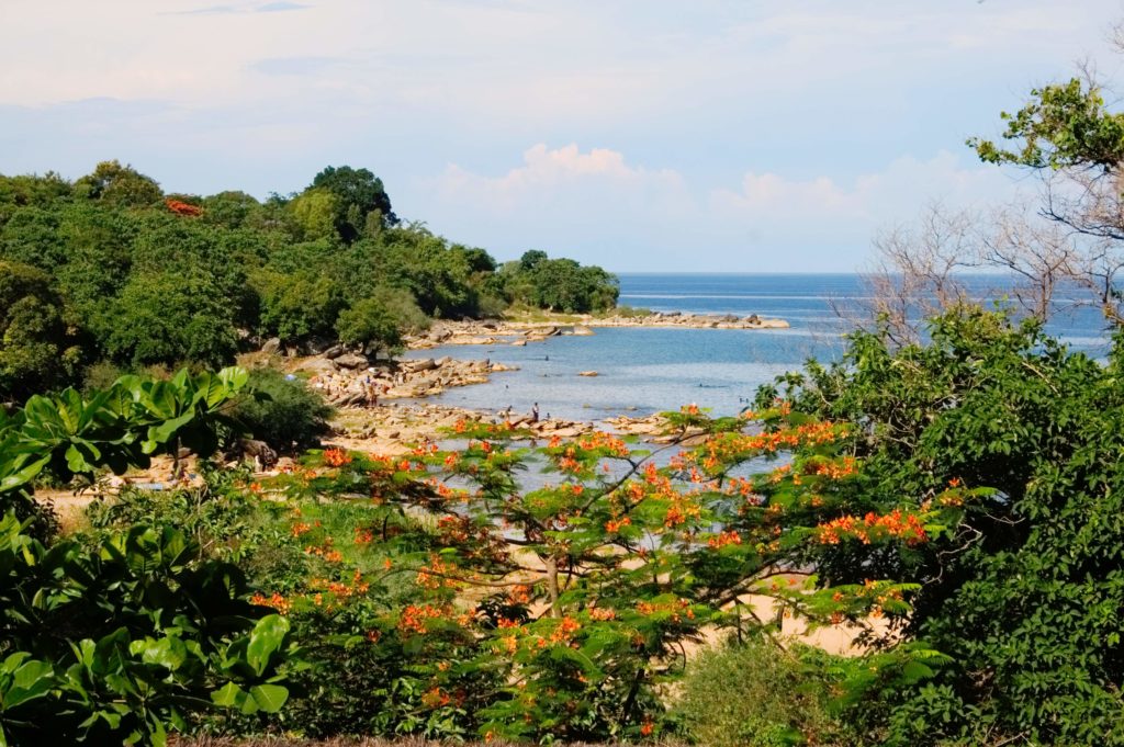 A beautiful shot of Lake Malawi Beach in Nkhata Bay in Africa. The beach is tropical with orange flowers blooming, a perfect sight from the top 10 destinations Jaya Travel & Tours.