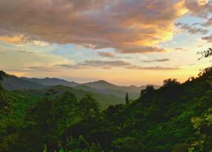 This image of a soft orange sunset in Colombia over a lush valley in the mountains is featured in the Jaya travel & Tours blog post, "Colombia Travel Guide."