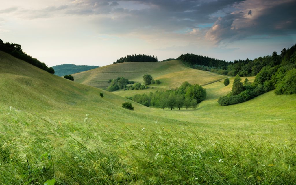 This image of a grassy field in Vogtsburg is featured in the Jaya Travel & Tours guide called "Germany Travel Guide."