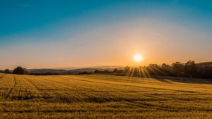 This photo of a sunset over a golden field is the featured image in the Jaya Travel & Tours blog article, "Where to Observe the Autumn Equinox," which describes the best spots to see the autumn equinox.