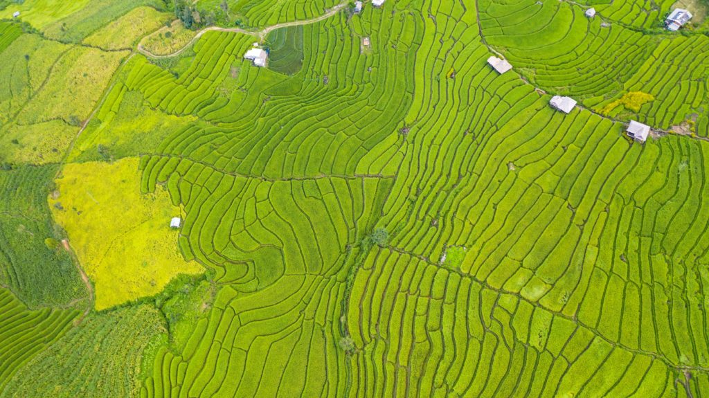 This image of a bright green terraced rice field is featured in the Jaya Travel & Tours blog post "Asia Travel Guide"