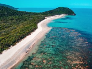 This image of the vibrant blue ocean and a lush forest next to the beach is featured in the Jaya Travel & Tours blog guide "Australia Travel Guide"
