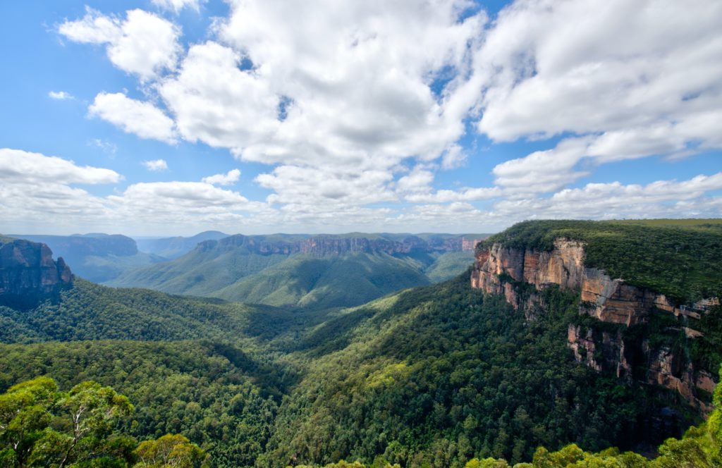 This image of a lush valley in Australia on a bright day is featured in the Jaya Travel & Tours blog post "Australia Travel Guide"