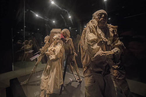 Featured in weirdest Museums around the World by Jaya Travel & Tours, this image shows unique mummies on display in mexico.