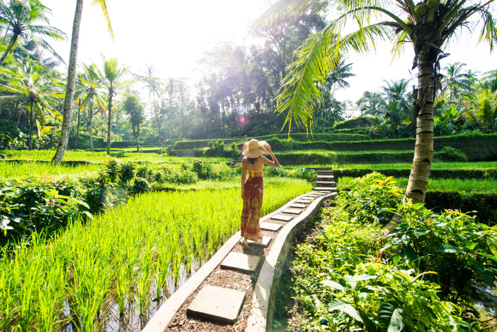 Featured in Best Destinations for Solo Travelers by Jaya Travel & Tours, this image shows young woman on green cascade rice field plantation at Tegalalang terrace in Bali, Indonesia.