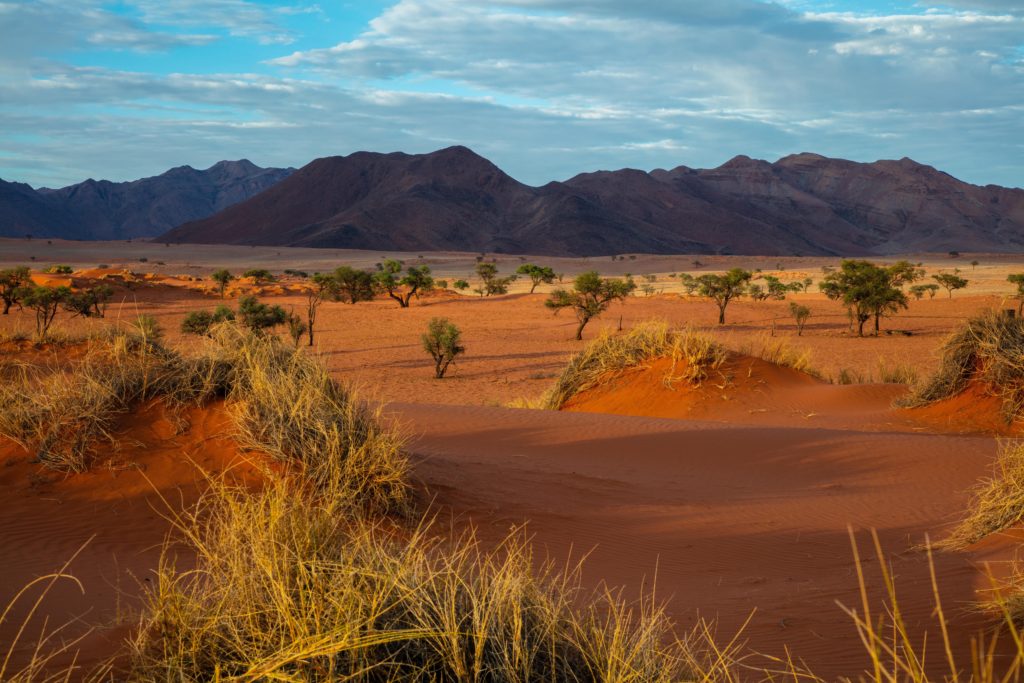Featured in "Which Country to Visit Quiz" by Jaya Travel & Tours, this image shows the beautiful and expansive Namibia desert.