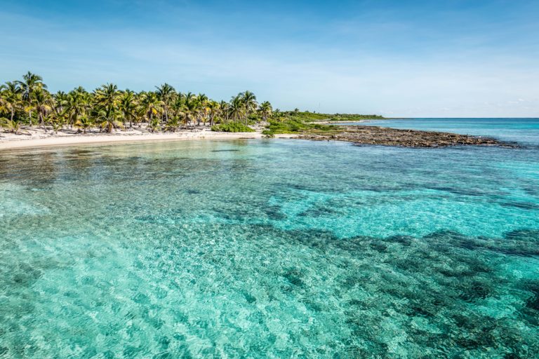 Tropical beach with palm trees and turquoise water at the port o