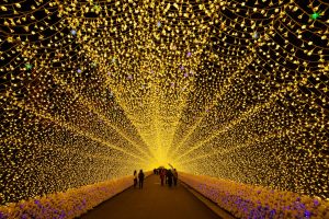 Jaya Travel Tours Grand Wonders of Japan Group Tour Day 5 Nabana no Sato