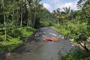 Day 4 - White Water Rafting at Ayung River - Bali Singapore Malaysia Group Tour
