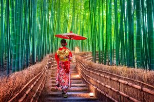Day 7 - Arashiyama Bamboo Forest - Kyoto - Jaya Travel Tours Japan