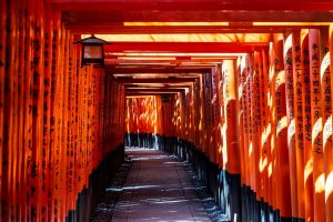 Day 7 - Fushimi Inari Shrine - Kyoto - Jaya Travel Tours Japan