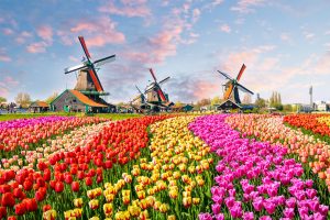 Best of Europe Netherlands - Jaya Travel & Tours