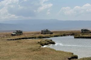 ngorongoro-crater-safari - Jaya Travel & Tours