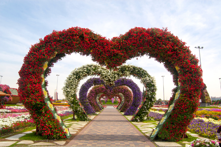 Dubai-Miracle-Gardenpng
