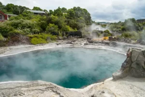Whakarewarewa geothermal trail - Jaya Travel & Tours