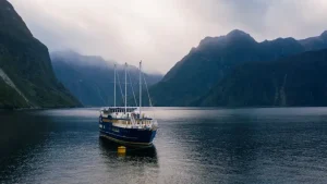 milford-sound- cruise - Jaya Travel & Tours