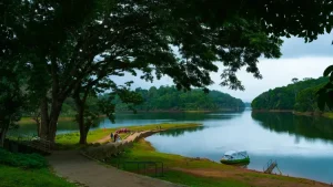 thekkady1 - Jaya Travel & Tours