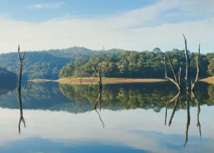 thekkady2 - Jaya Travel & Tours