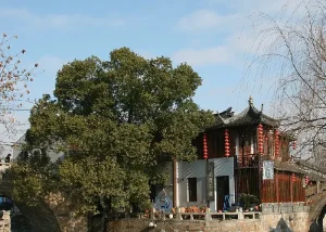 fengjing-ancient-town - Jaya Travel & Tours Traditional Chinese pavilion with red lanterns beside a large leafy tree along a stone walkway under a blue sky, onlookers nearby.