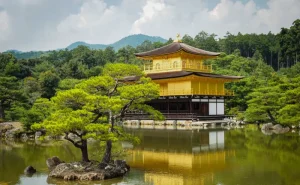 kinkakujitemple - Jaya Travel & Tours Golden pavilion temple reflected in a calm pond, surrounded by lush green trees in a Japanese garden setting.