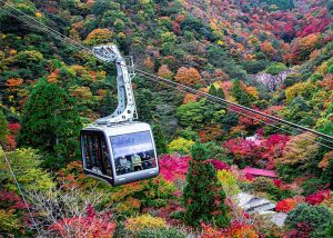rokkocable - Jaya Travel & Tours Cable car with passengers traveling over a colorful autumn forest of red, orange, and yellow trees on a hillside road.