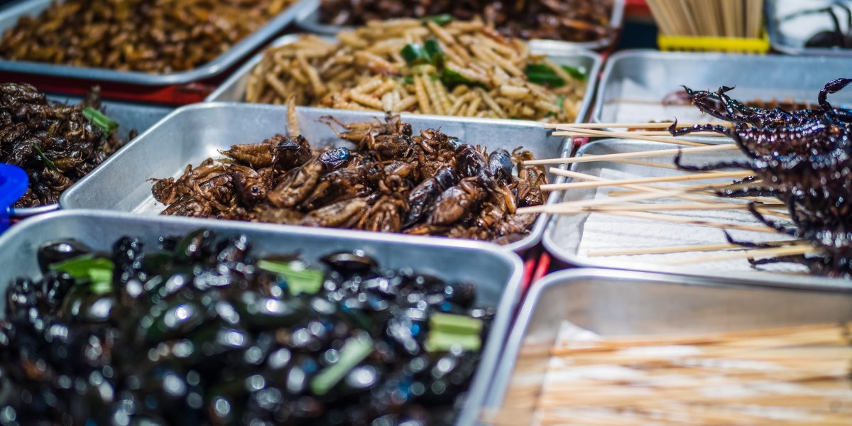 Deep Fried edible insects on the streets of Khao San Road in Bangkok, Thailand, where locals love bugs on the menu.